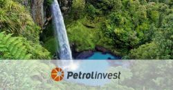 Analiza IPO Czy analiza prospektu emisyjnego Petrolinvest ochroniłaby inwestorów przed stratami