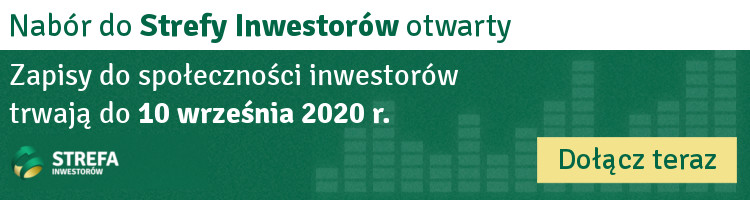 strefa inwestorow 750x200