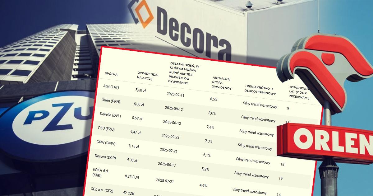 dywidendy_wysokie