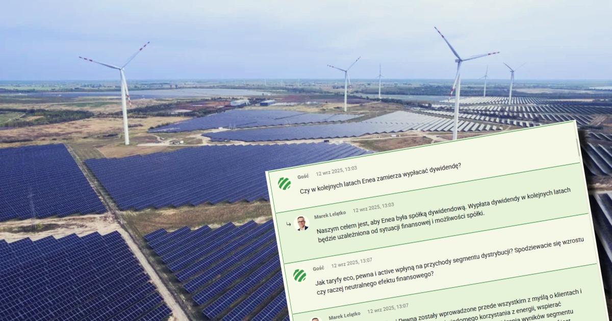 Enea dywidendy