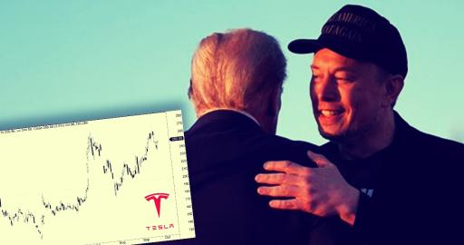 tesla elon musk donald trump