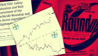 Bayer z najlepszą sesją od 17 lat. Rynek gra pod koniec pozwów o „rakotwórczy” Roundup