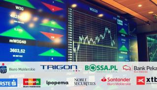 Najlepsze spółki 2026