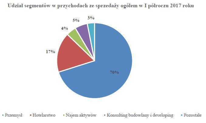 Udział segmentów w przychodach ze sprzedaży ogółem w GK Immobile w I półroczu 2017 roku