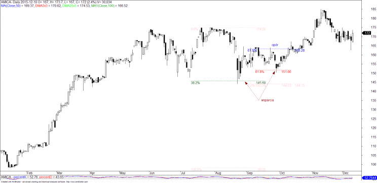 Wykres 1. Amica, 2015 rok