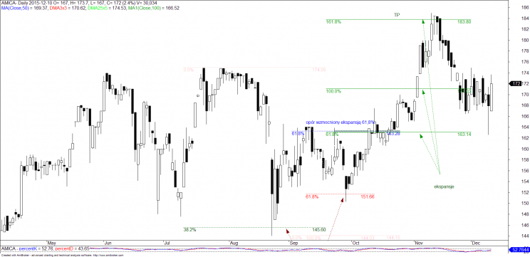 Wykres 2. Amica, 2015 rok