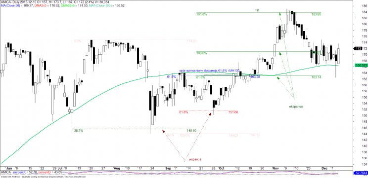 Wykres 3. Amica, 2015 rok