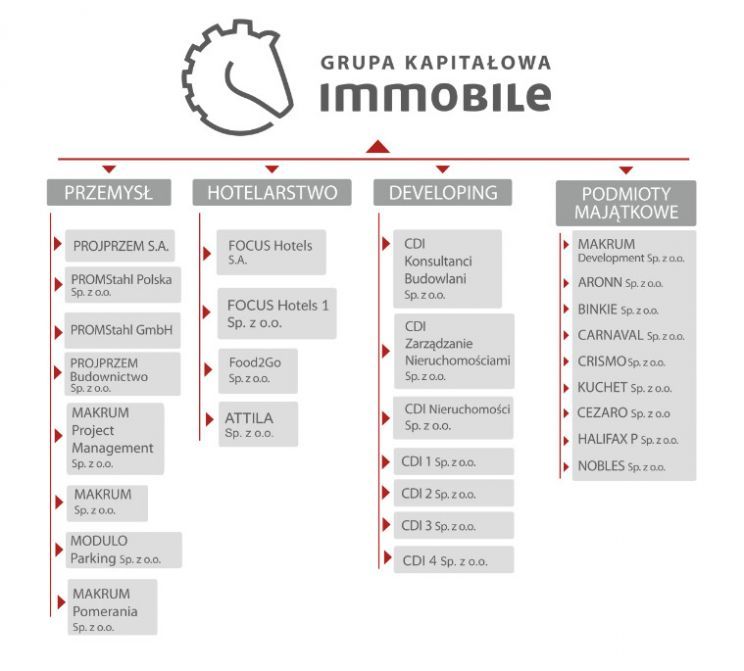 Schemat funkcjonalny uwzględniający główne Spółki Grupy Kapitałowej Immobile