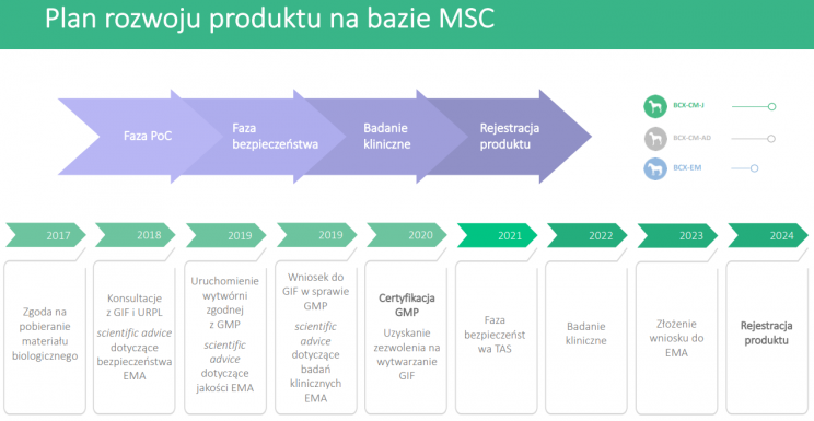 Plan rozwoju produkt w Bioceltix
