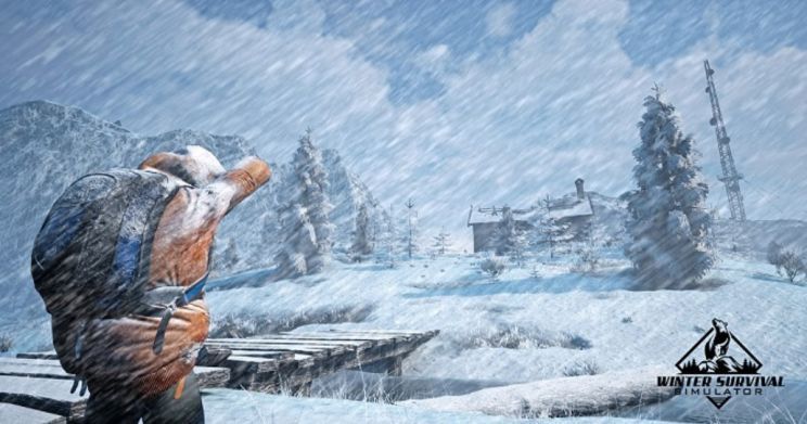 winter survival simulator release date